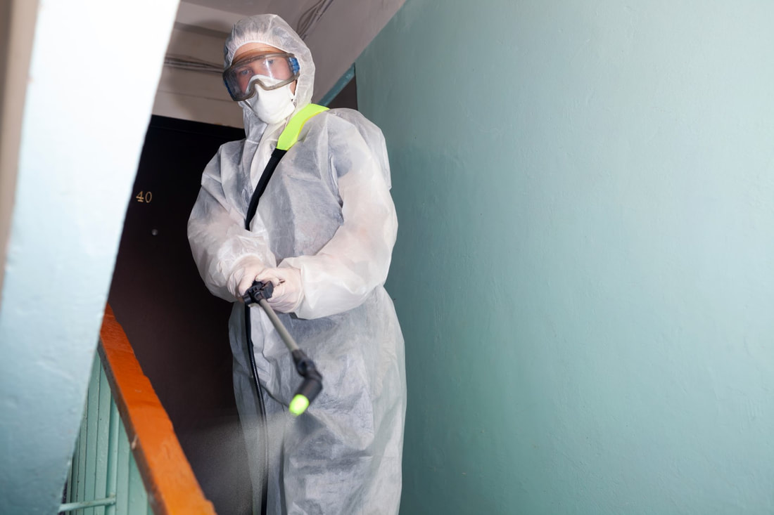 An image of Termite Treatment in The Colony, TX